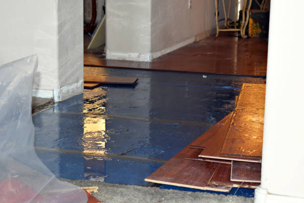 Professional Water Damage Restoration technician working in Wingett Run, OH